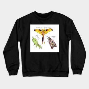 Bugs Trio colouring pencil and pen illustration Crewneck Sweatshirt